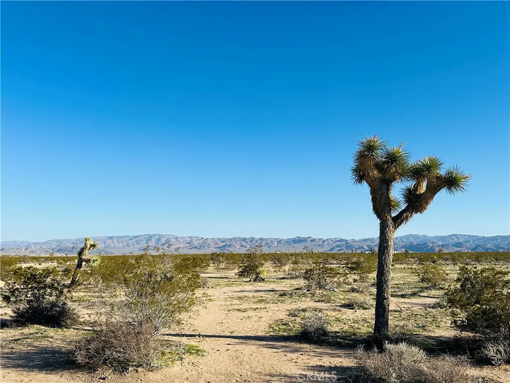 1974 Sunset, Joshua Tree, Ca 92252 - Main photo, Joshua Tree, CA