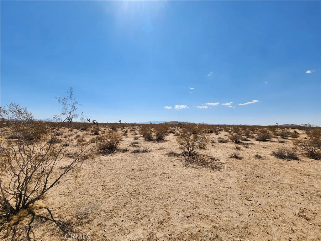 Joshua Tree, CA 92252