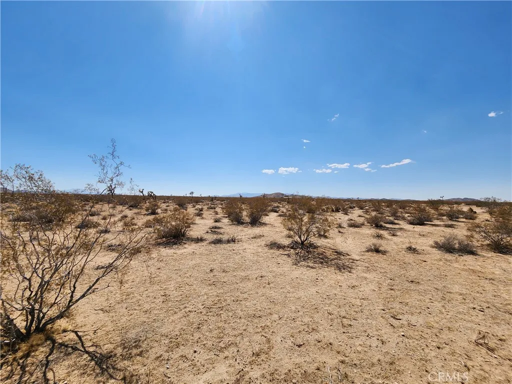 Joshua Tree, CA 92252