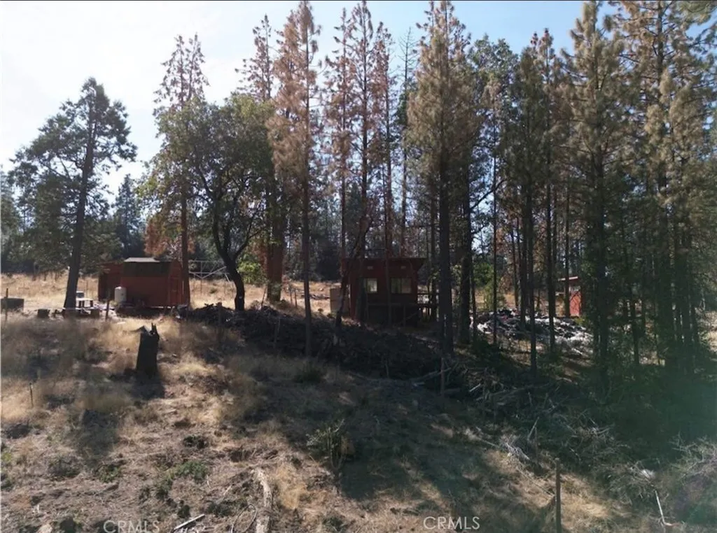 5901 Manton Ponderosa Way, Manton, Ca 96059 - Photo 4 of 16, Manton, CA