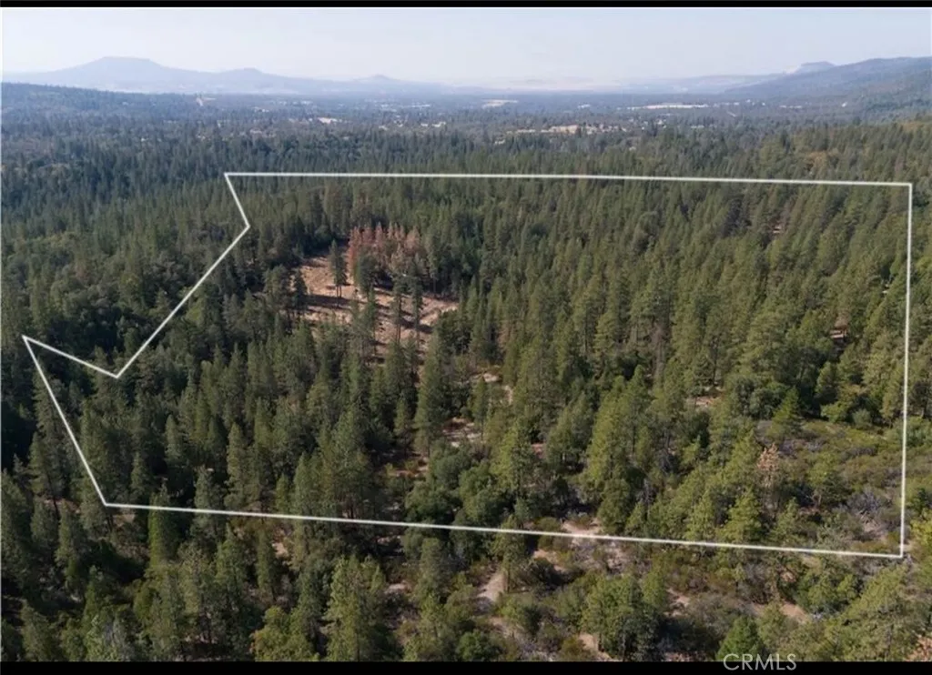 5901 Manton Ponderosa Way