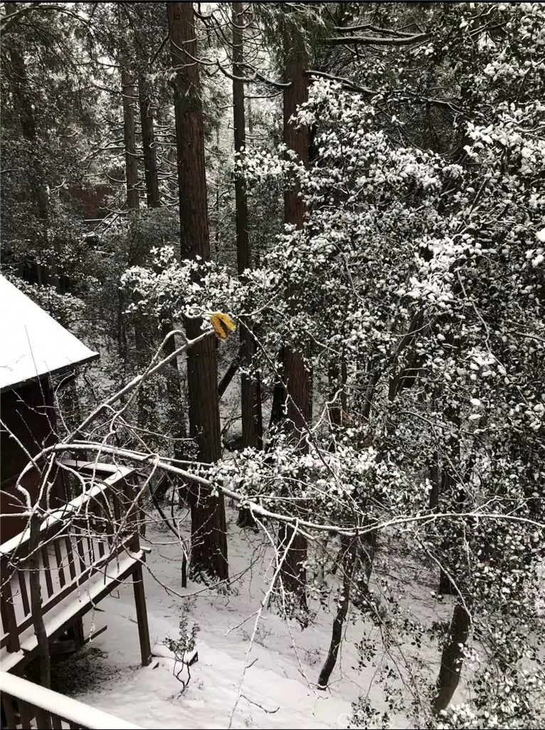25370 Point Of Rocks Road, Idyllwild, Ca 92549 - Photo 3 of 20, Idyllwild, CA