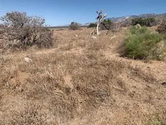 0 Emerald, Lucerne Valley, CA, 92356