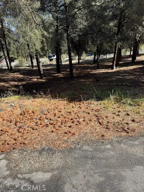 Frazier Park, CA 93225