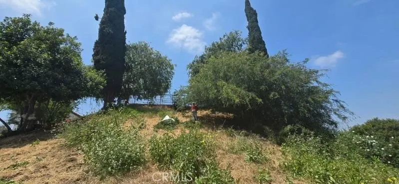 Los Angeles, CA 90065