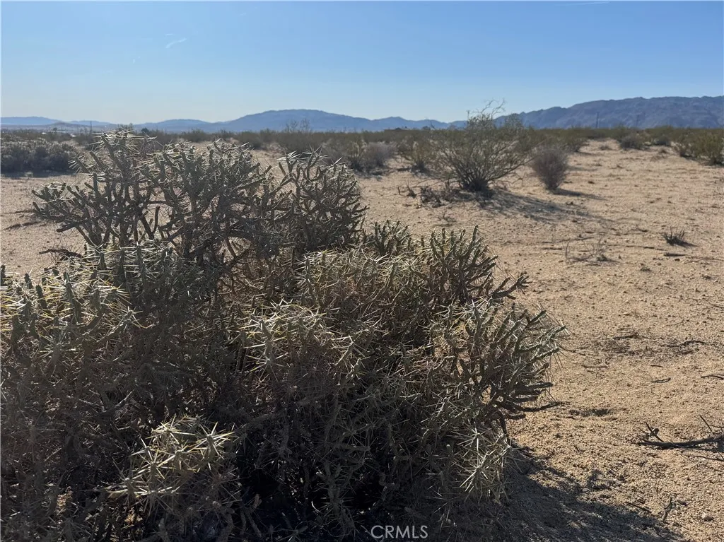 3492 Meldora, 29 Palms, CA, 92277