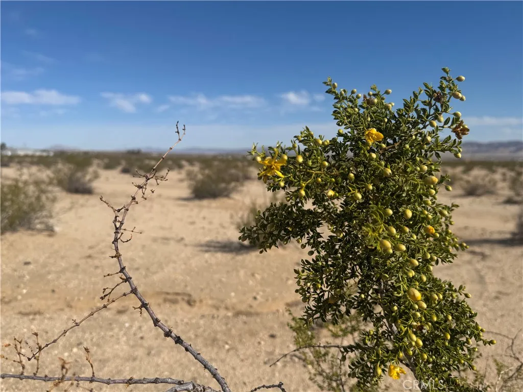 3492 Meldora, 29 Palms, CA, 92277