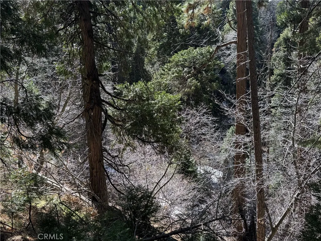 0 Sunderland, Lake Arrowhead, Ca 92352 - Photo 2 of 4, Lake Arrowhead, CA