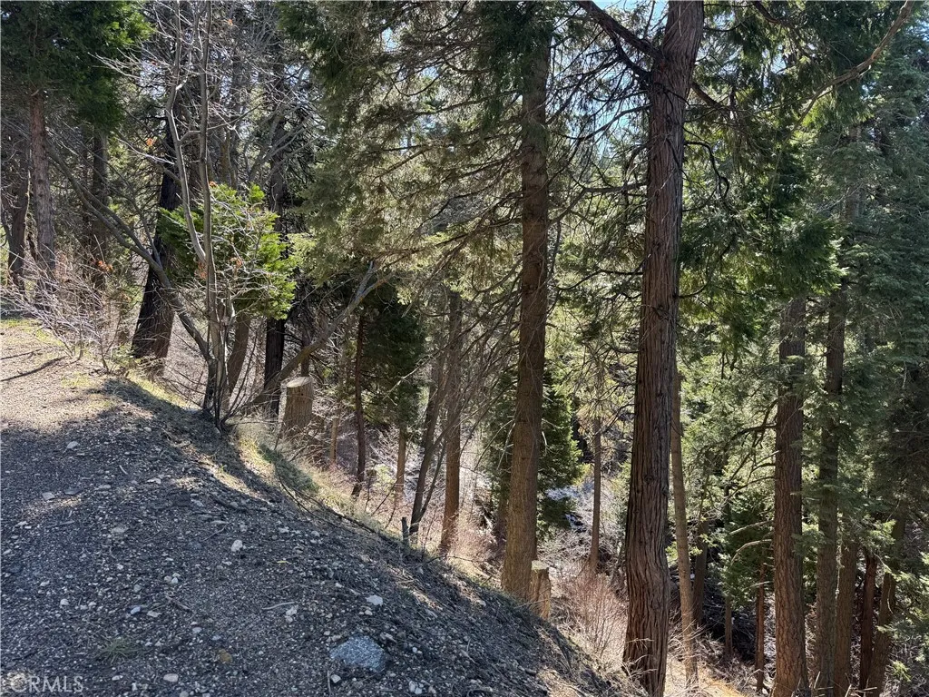 0 Sunderland, Lake Arrowhead, Ca 92352 - Photo 4 of 4, Lake Arrowhead, CA