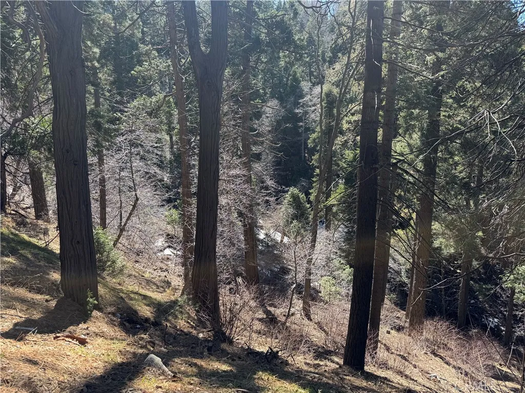 0 Sunderland, Lake Arrowhead, Ca 92352 - Main photo, Lake Arrowhead, CA