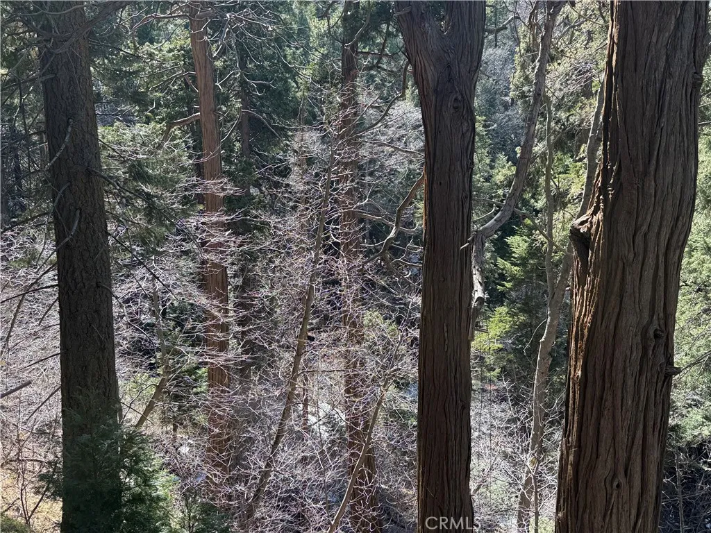 0 Sunderland, Lake Arrowhead, Ca 92352 - Photo 3 of 4, Lake Arrowhead, CA