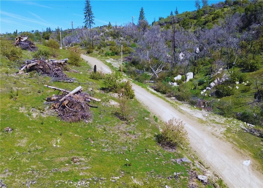 0 Canfield, Berry Creek, Ca 95973 - Photo 5 of 11, Berry Creek, CA