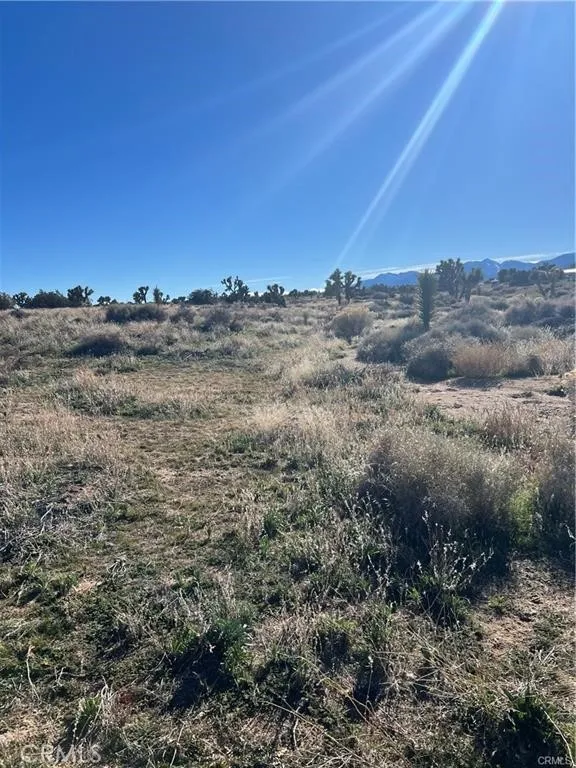 Houses For Rent La Quinta