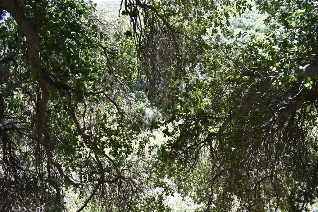 0 Vac Calle El Baranco/vic Spunk, Green Valley, Ca 91350 - Photo 5 of 23, Green Valley, CA