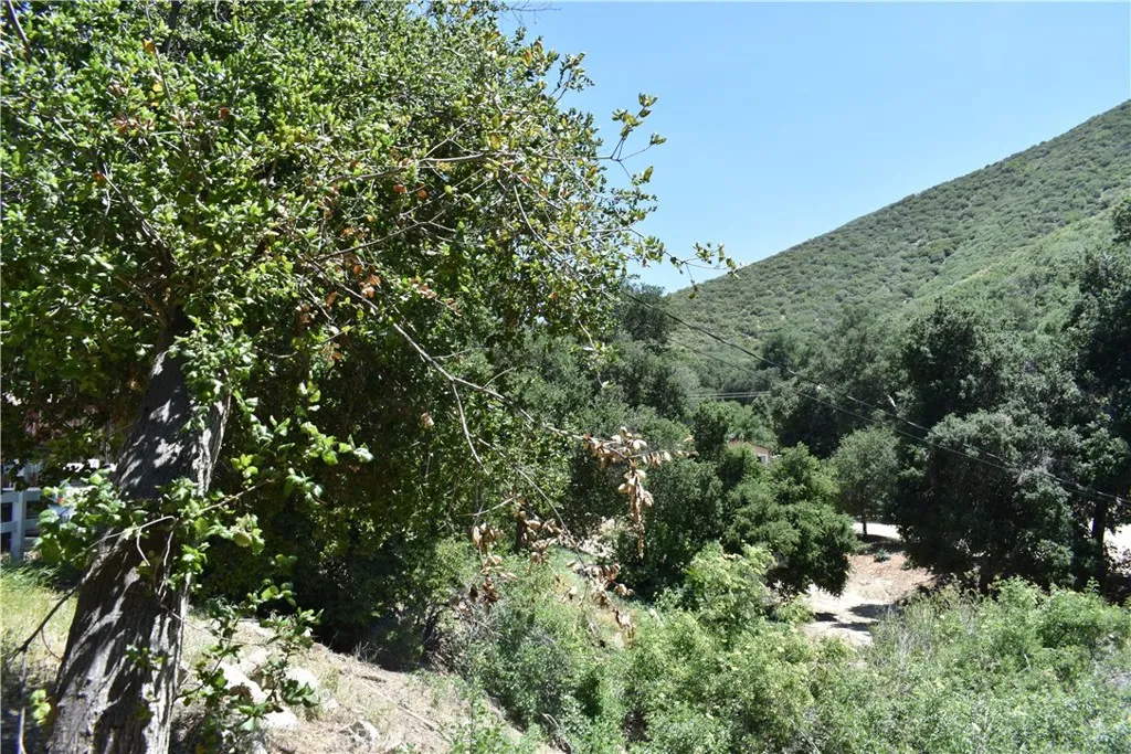 0 Vac Calle El Baranco/vic Spunk, Green Valley, Ca 91350 - Photo 4 of 23, Green Valley, CA