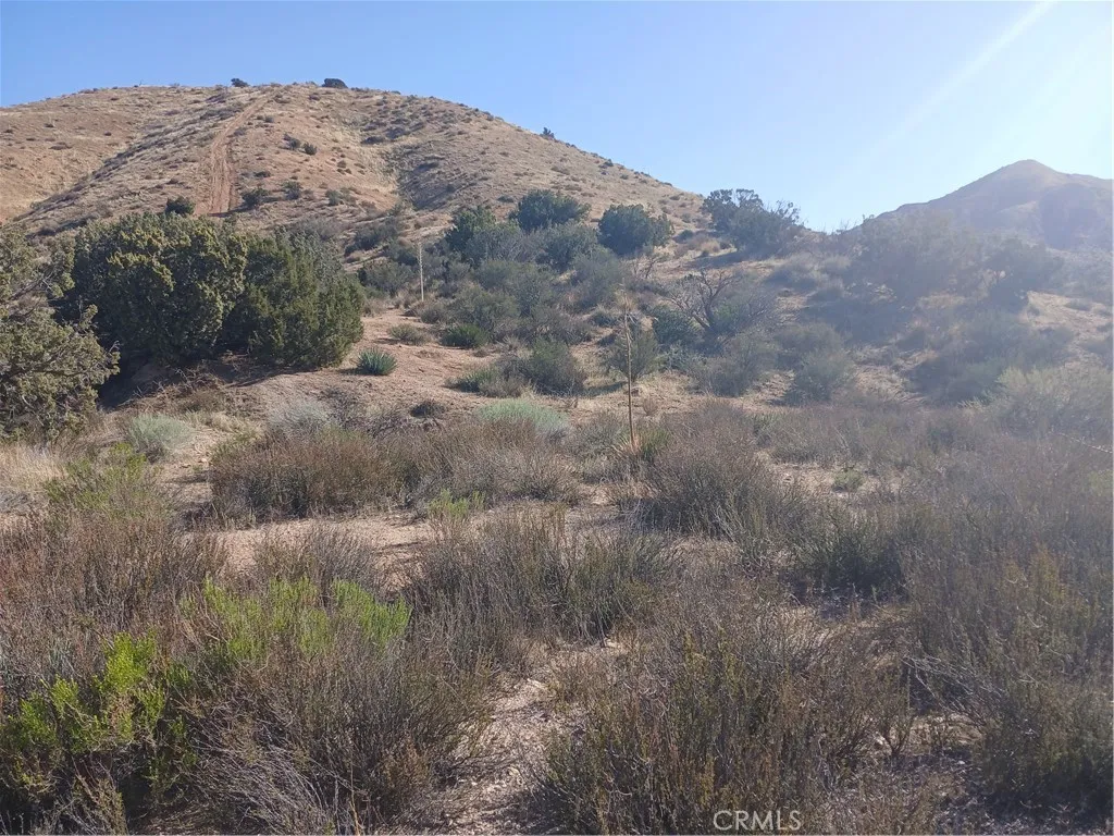 0 West Avenue Y - 8, Acton, Ca 93510 - Photo 4 of 11, Acton, CA