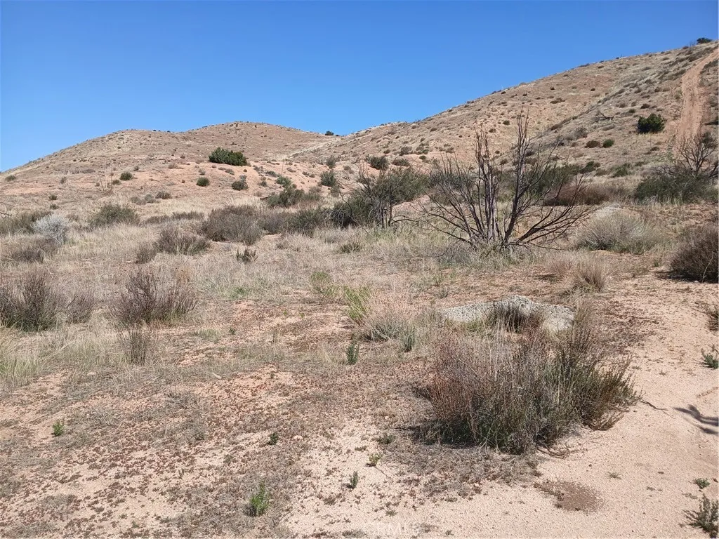 0 West Avenue Y - 8, Acton, Ca 93510 - Photo 5 of 11, Acton, CA