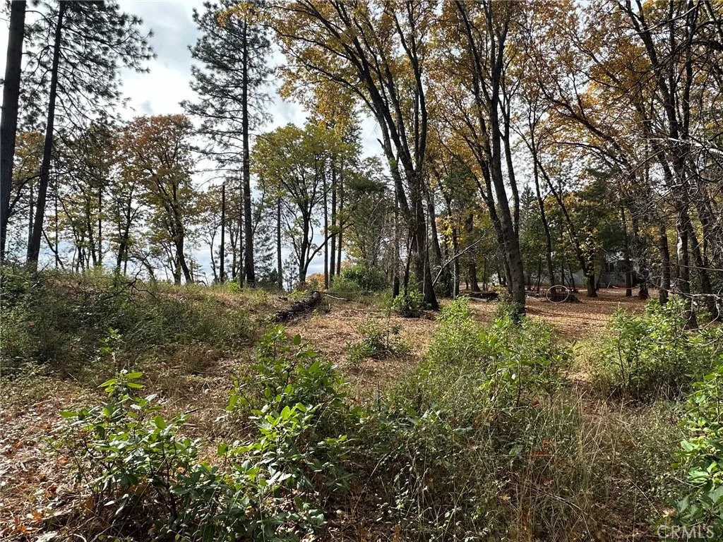 Yankee Hill, CA 95965