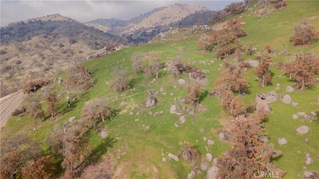 0 Pepperweed, Squaw Valley, Ca 93675 - Photo 3 of 23, Squaw Valley, CA