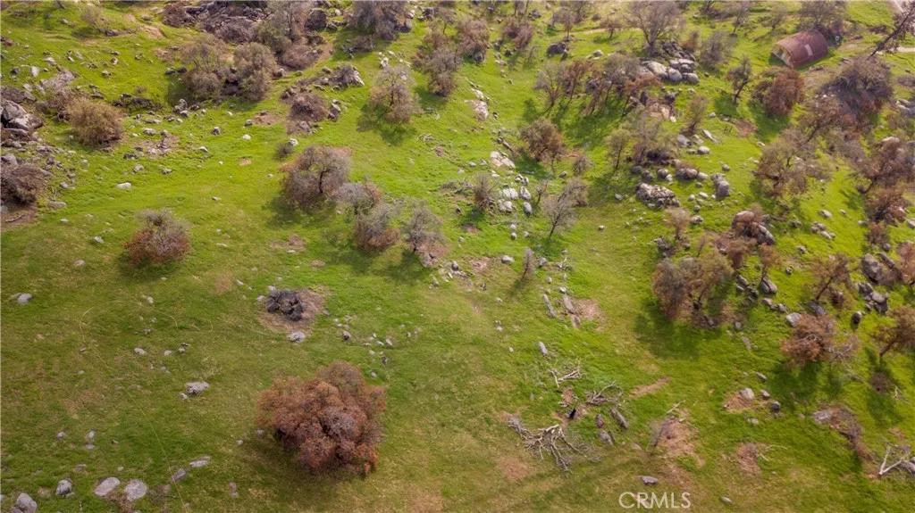 0 Pepperweed, Squaw Valley, Ca 93675 - Photo 5 of 23, Squaw Valley, CA
