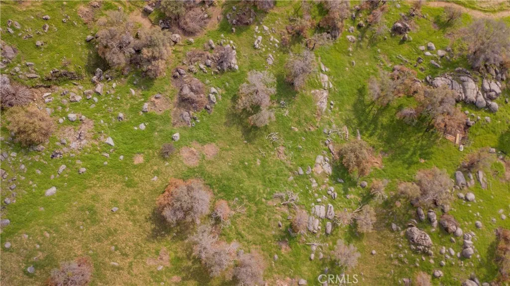 0 Pepperweed, Squaw Valley, Ca 93675 - Photo 4 of 23, Squaw Valley, CA