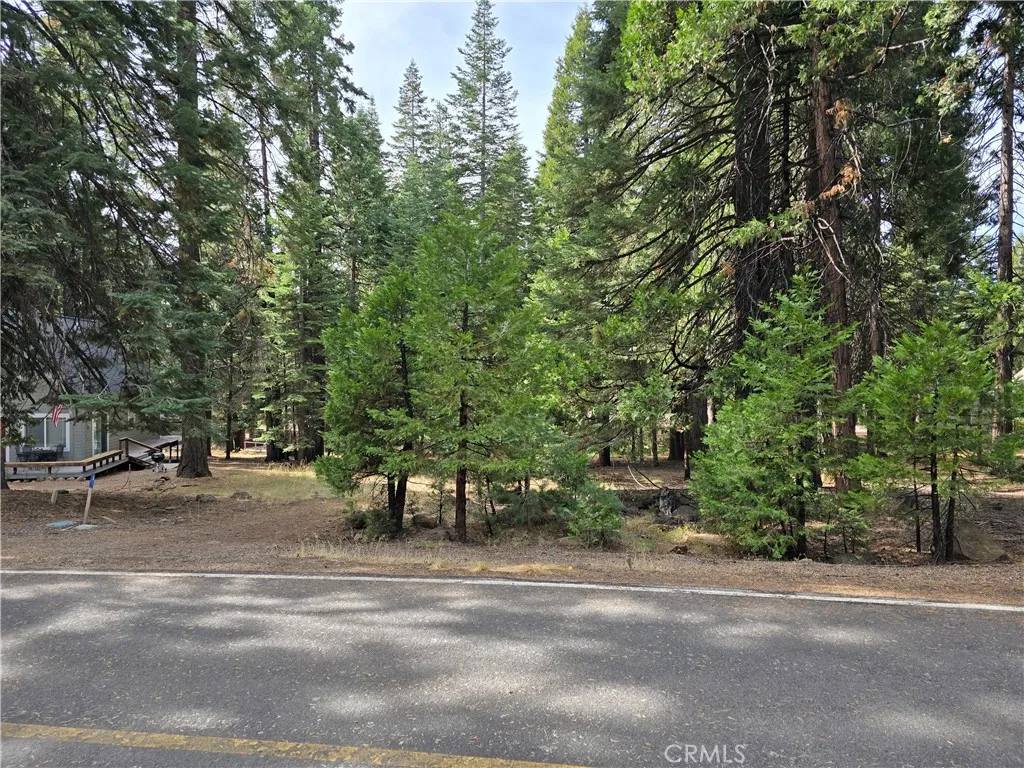 Lake Almanor, CA 96137