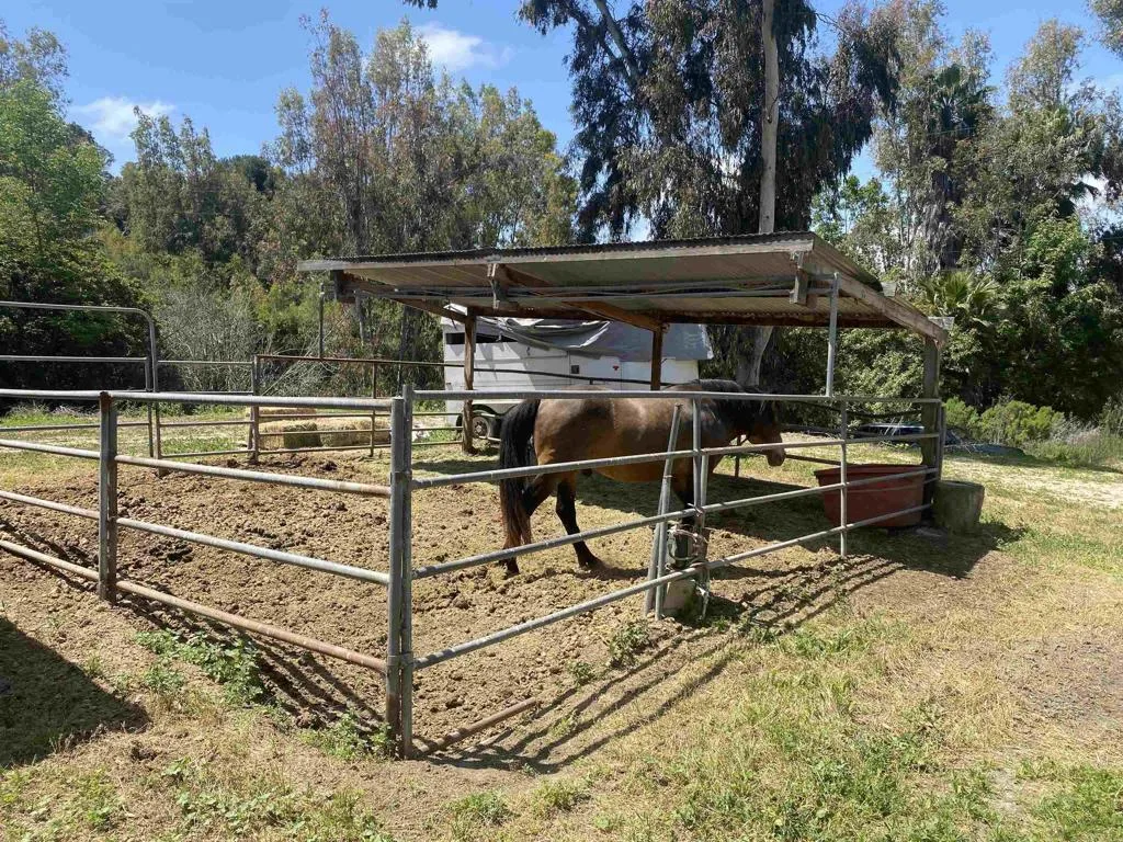 https://cdn.realtyfeed.com/cdn/127/306410735/8c6cc6e0636a35ae8189b1d32efa9773.webp