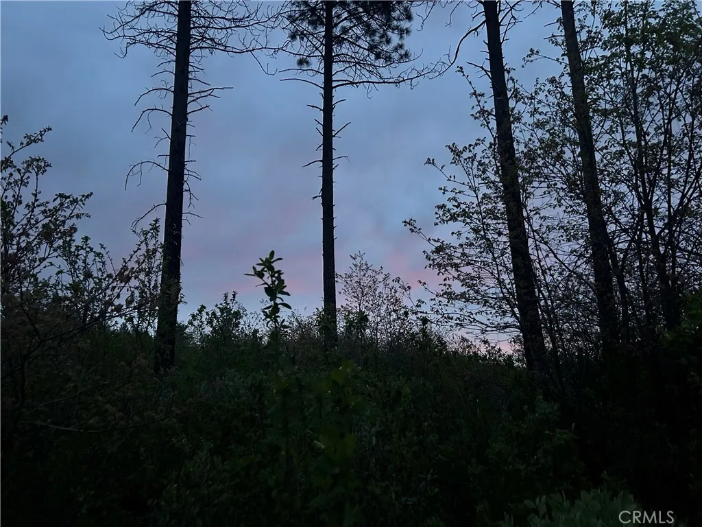 1 Hog Ranch, Concow, Ca 94965 - Photo 2 of 4, Concow, CA