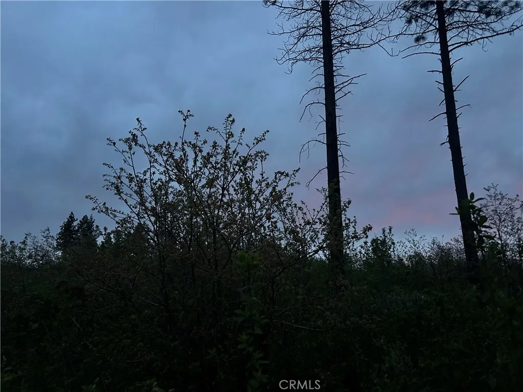 1 Hog Ranch, Concow, Ca 94965 - Photo 4 of 4, Concow, CA