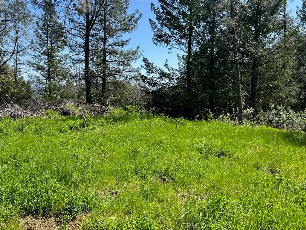 14607 Western Mine, Middletown, Ca 95461 - Photo 2 of 48, Middletown, CA