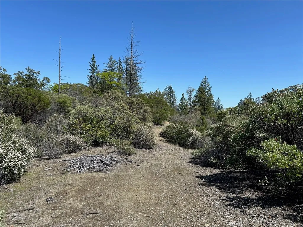 14607 Western Mine, Middletown, Ca 95461 - Photo 4 of 48, Middletown, CA