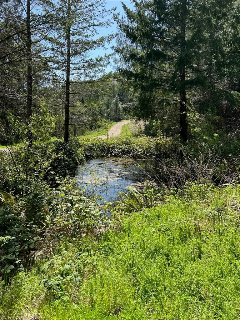 14607 Western Mine, Middletown, Ca 95461