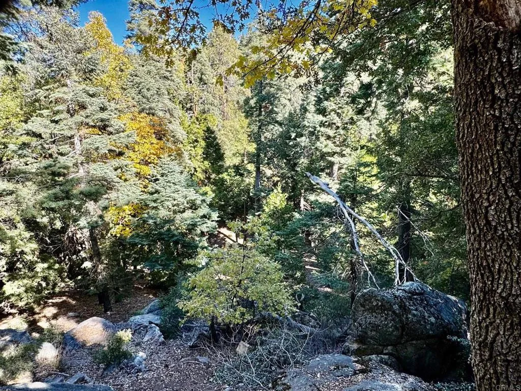 https://cdn.realtyfeed.com/cdn/127/306416507/c2b66db57e3c302c9014087362a56b91.webp