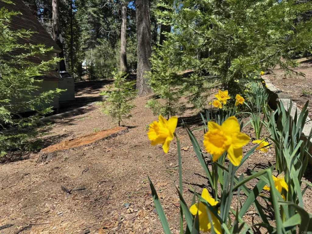 https://cdn.realtyfeed.com/cdn/127/306416508/c9c127a4fb4e2300f74232389e41bab5.webp