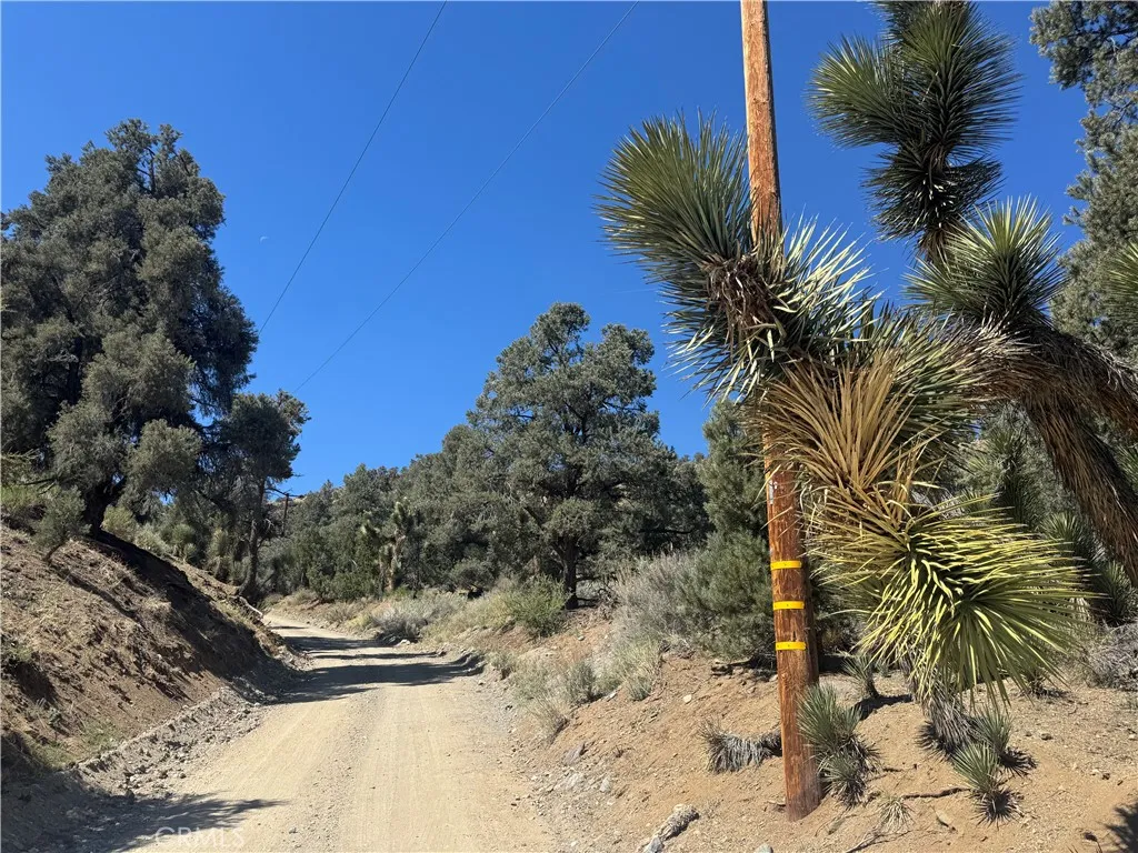 Pinon Hills, CA 92372