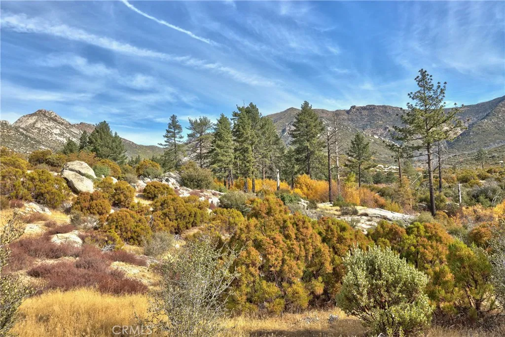58111 Bonita Vista Road, Mountain Center, Ca 92561 - Photo 4 of 75, Mountain Center, CA