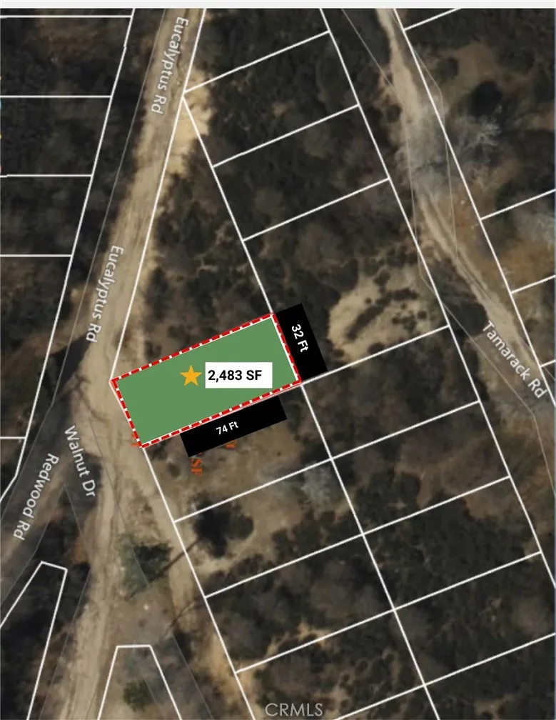 Cedar Glen, CA 92321