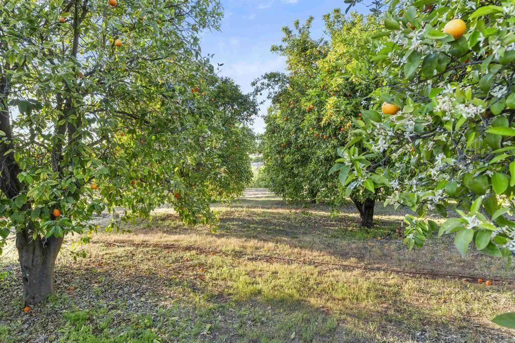 https://cdn.realtyfeed.com/cdn/127/306424813/3dc22475c0d05daf102bd785967529f5.webp