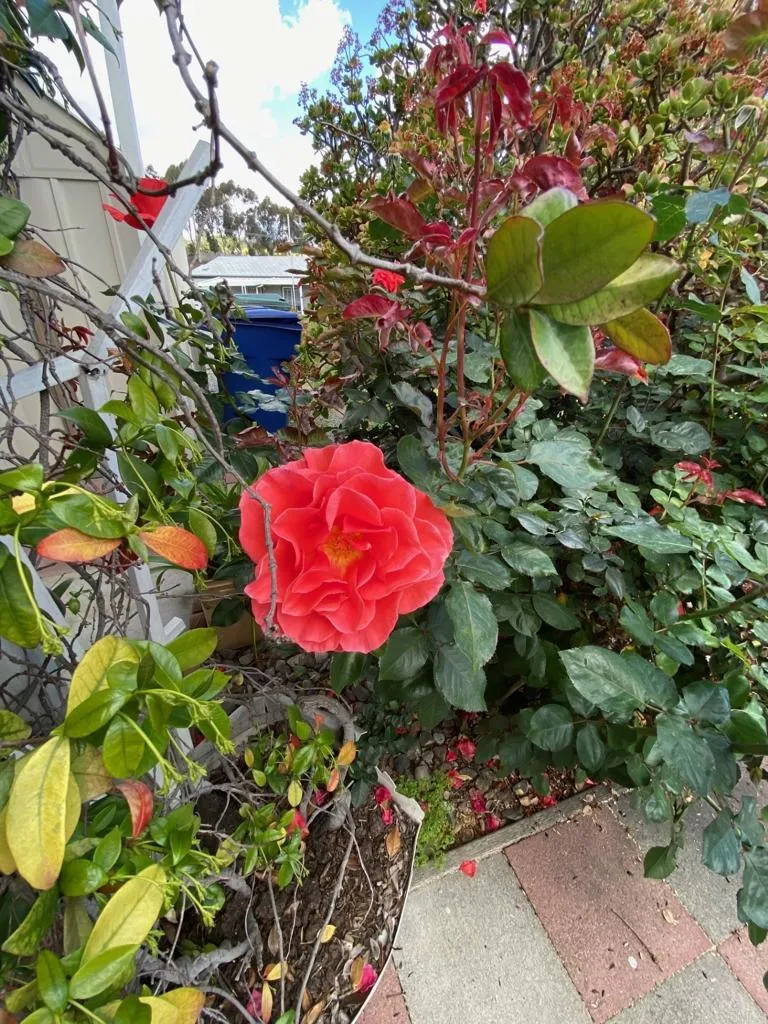 https://cdn.realtyfeed.com/cdn/127/306425260/2023e6818af029bc49ffc81adbde15ef.webp