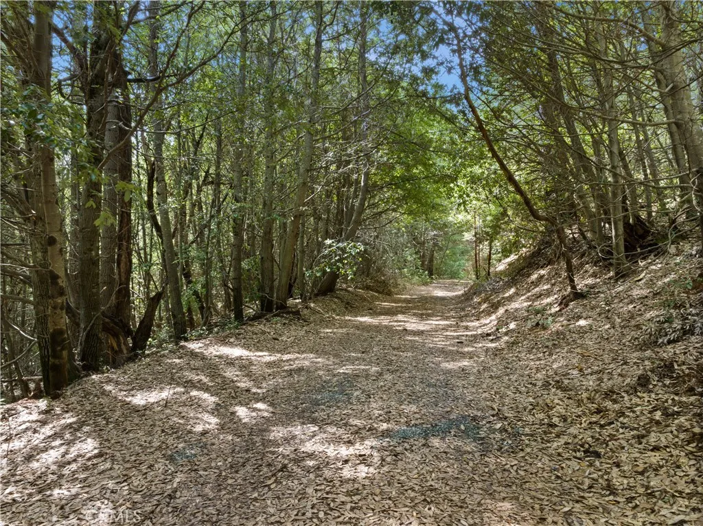 63 Binet, Clipper Mills, Ca 95930 - Photo 3 of 12, Clipper Mills, CA