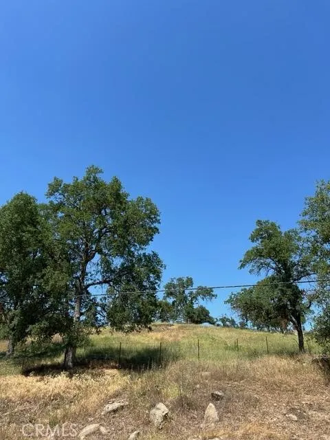 0 Mistletoe, Squaw Valley, Ca 93675 - Photo 5 of 8, Squaw Valley, CA