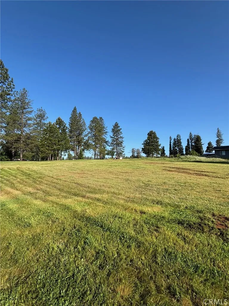 1340 Bille, Paradise, Ca 95969 - Photo 4 of 11, Paradise, CA