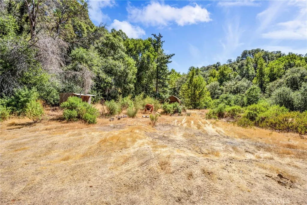 6696 State Hwy 20