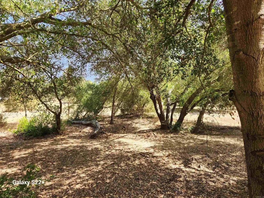 https://cdn.realtyfeed.com/cdn/127/306440083/abbf34c45cbdc86e3d1732c9bdc53ae4.webp