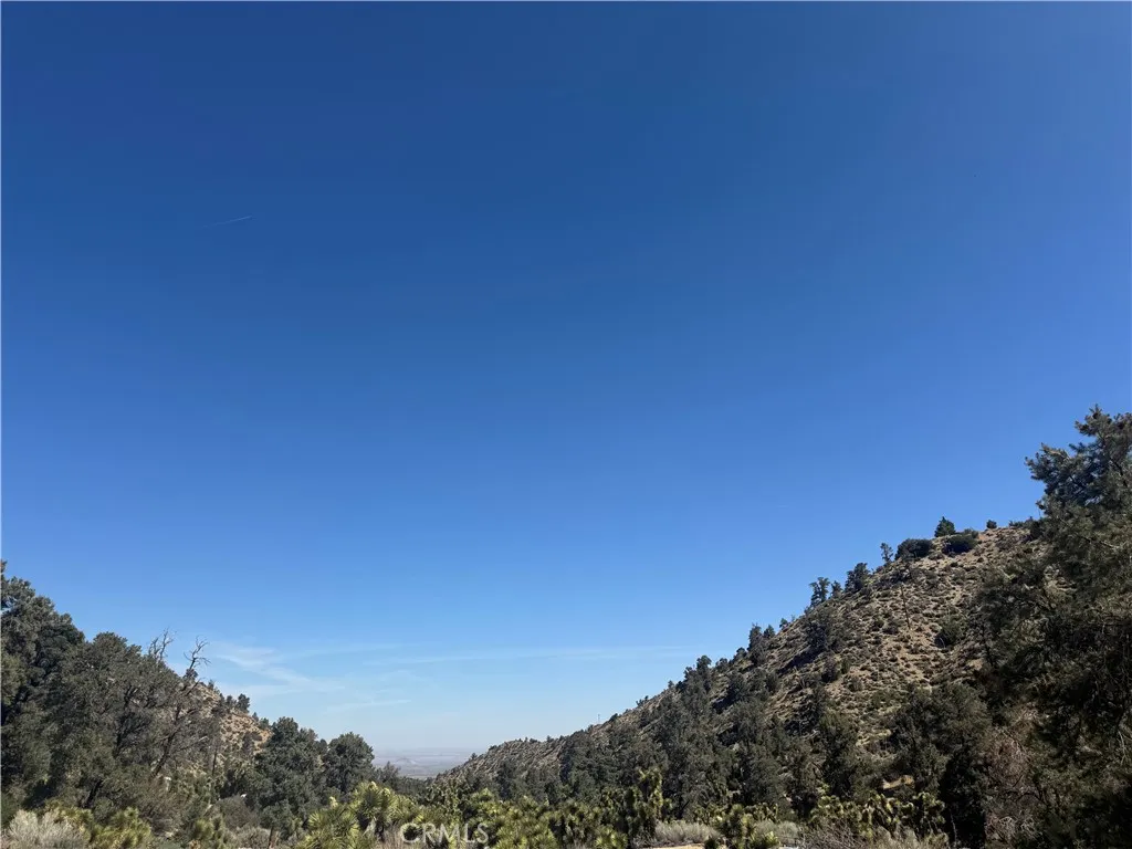 Pinon Hills, CA 92372