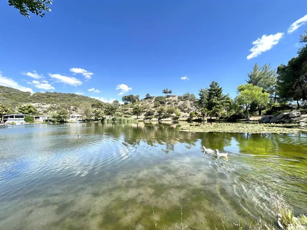 https://cdn.realtyfeed.com/cdn/127/306442305/fc51890970c04140b1f45e28d8a5d714.webp