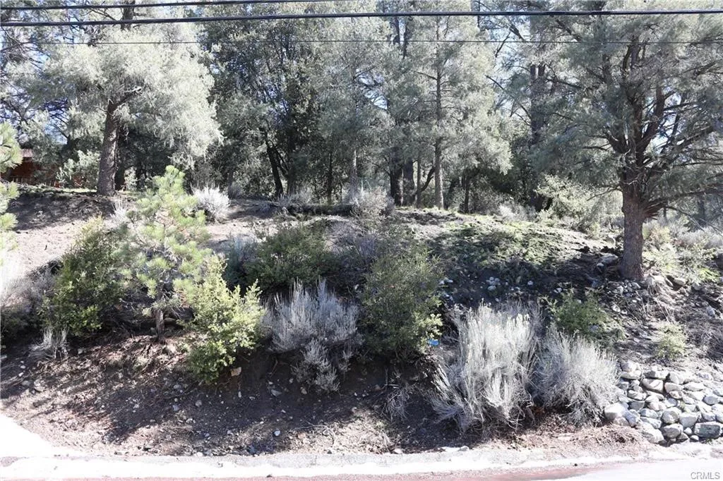 2216 Woodland, Pine Mountain Club, CA 93225 - Main photo, Pine Mountain Club, CA