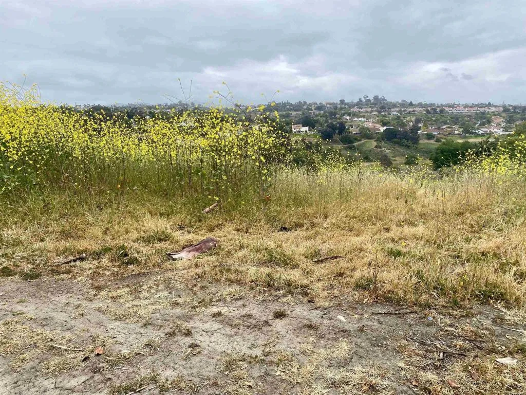 0 Oceanview Road, Oceanside, CA, 92056