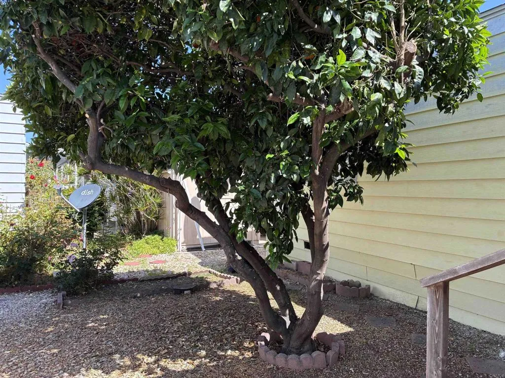https://cdn.realtyfeed.com/cdn/127/306445765/03222a7c40c239c22a06ee90165b369b.webp