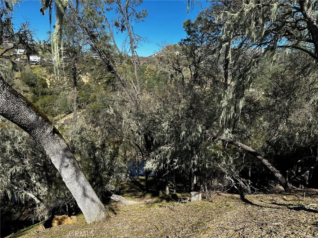 8209 Woody Point, Bradley, CA 93426 - Photo 4 of 15, Bradley, CA